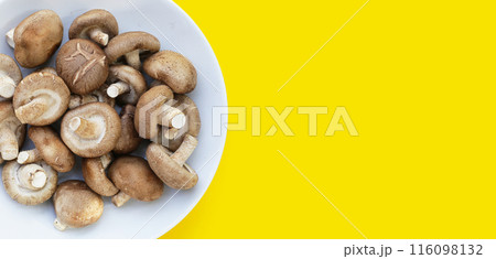 Fresh shiitake mushrooms on yellow background. Fresh shiitake mushrooms on yellow background. 116098132