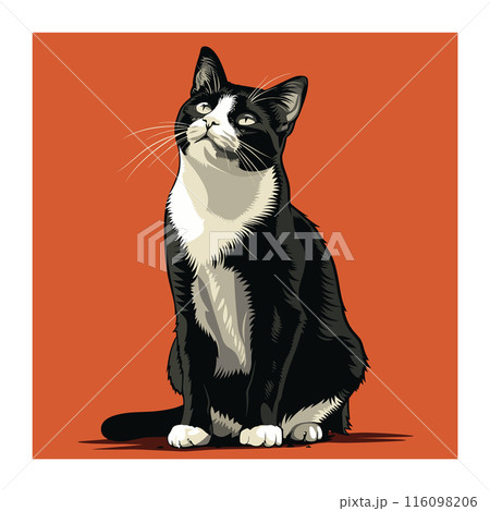 Black white tuxedo cat sitting looking up, orange background. Alert curious feline whiskers, detailed fur illustration. Domestic shorthaired pet attentive gaze, elegant posture 116098206