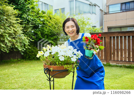 寄せ植えをする笑顔のミドル女性 寄せ植えをする笑顔のミドル女性 116098266