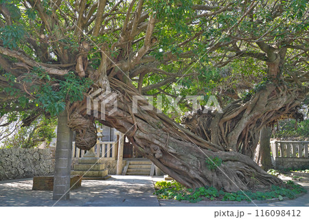 【龍王神社】 和歌山県日高郡美浜町三尾 【龍王神社】 和歌山県日高郡美浜町三尾 116098412