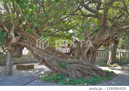 【龍王神社】 和歌山県日高郡美浜町三尾 116098420