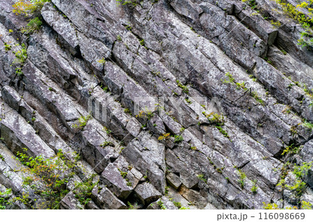 清津峡渓谷　柱状節理の見事な峡谷美　巨大な岩壁　大地の芸術 116098669