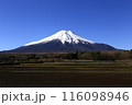 冠雪した富青い空青い空 116098946