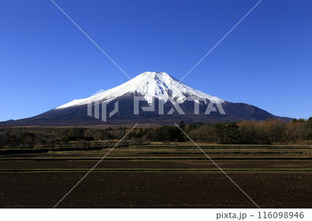 冠雪した富青い空青い空 116098946