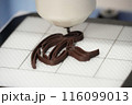 3Dチョコレートプリンティング 3Dチョコレートプリンティング 116099013