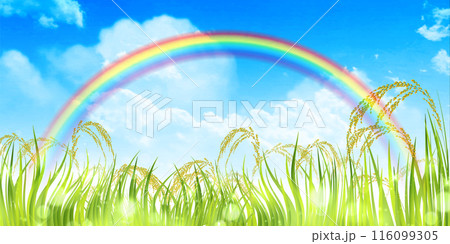 稲 秋 田舎 風景 背景 稲 秋 田舎 風景 背景 116099305