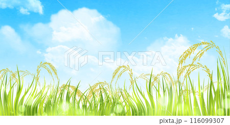 稲 秋 田舎 風景 背景 稲 秋 田舎 風景 背景 116099307
