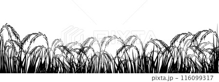 稲作　農業　田舎　背景 116099317