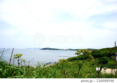 静かなる響灘の海 静かなる響灘の海 116099546