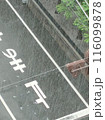 雨の景色　どしゃぶりの交差点 116099878