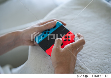 ニンテンドースイッチ 116099918