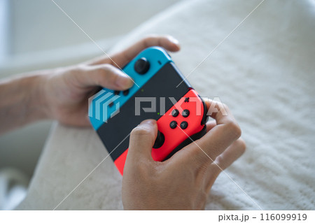 ニンテンドースイッチ 116099919