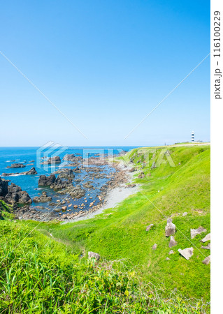 入道崎 116100229