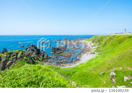 入道崎 入道崎 116100230