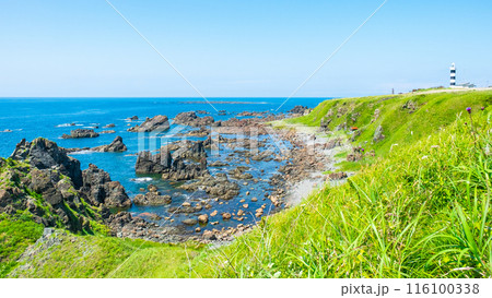 入道崎 入道崎 116100338