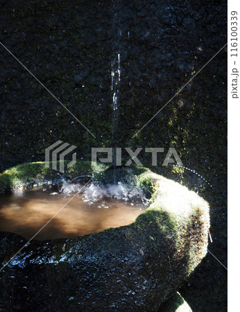 板橋区赤塚不動の滝 板橋区赤塚不動の滝 116100339