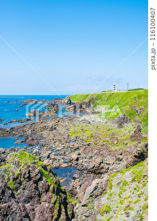 入道崎 116100407