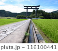 田園風景に続く鳥居への一本道 116100441