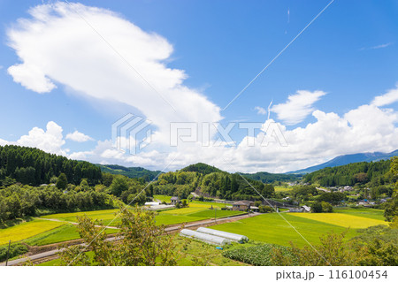 実りの田んぼと青空（大分県竹田市） 116100454