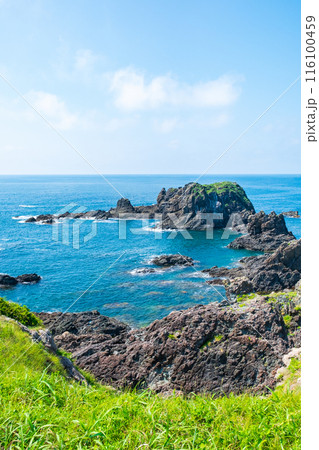 入道崎 116100459