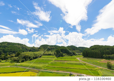 実りの田んぼと青空（大分県竹田市） 116100460