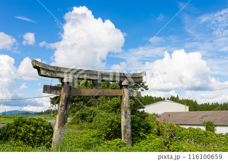 鳥居と青空(大分県豊後大野市) 鳥居と青空(大分県豊後大野市) 116100659