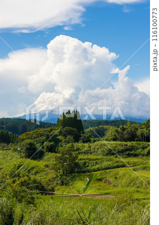 実りの田んぼと青空(大分県豊後大野市) 実りの田んぼと青空(大分県豊後大野市) 116100773