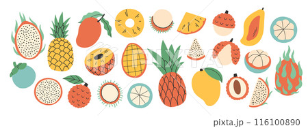 Set of different exotic fruits. Collection of organic vitamins and healthy nutrition. Pitahaya, pineapple, mango, lychee 116100890