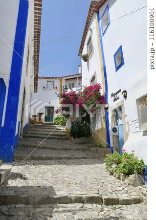 ヨーロッパの街角風景 116100901