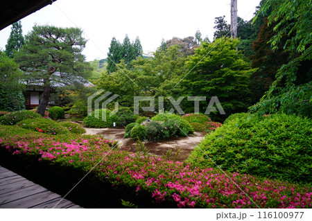 雲龍院の境内風景 116100977