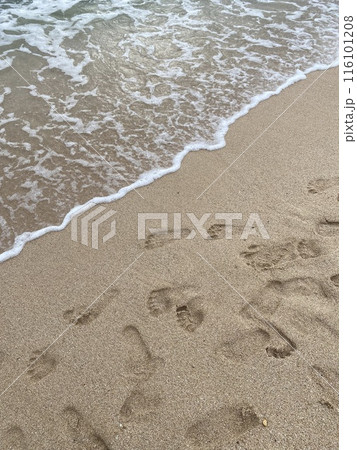 footprints on the beach 116101208