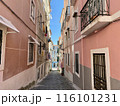 ヨーロッパ ピンク色の路地 116101231