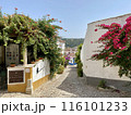 リゾート地の街角風景 116101233
