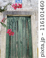 リスボンの家の木の扉 116101460