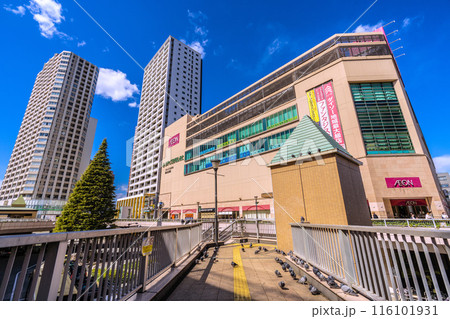 日本の相模原都市景観 橋本駅前に集まるハトなどを望む=21日 日本の相模原都市景観 橋本駅前に集まるハトなどを望む=21日 116101931