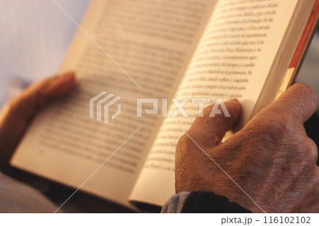 From above of hands of crop anonymous person holding open book and reading during daytime. 116102102