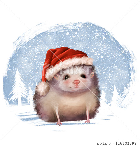 Cute hedgehog in red Santa Claus hat. Winter illustration. 116102398