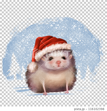 Cute hedgehog in red Santa Claus hat. Winter illustration. 116102398