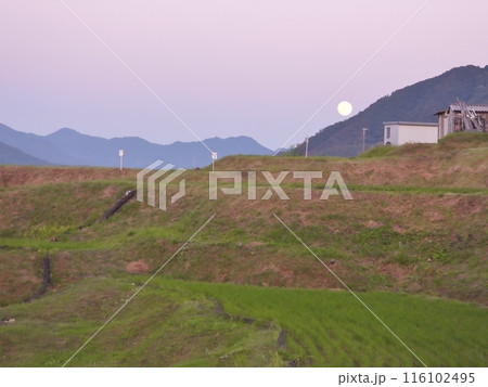 ストロベリームーンの月の出 116102495