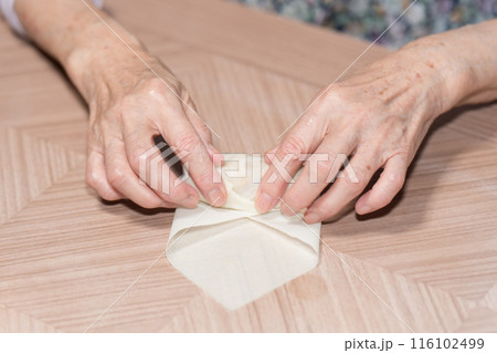 春巻きを作るシニア女性 116102499