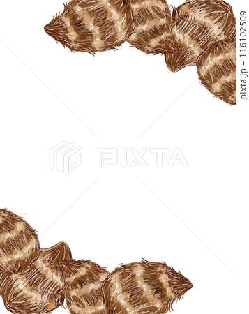 水彩で描いた秋のさといものイラスト素材縦フレーム 116102509