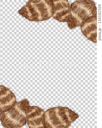 水彩で描いた秋のさといものイラスト素材縦フレーム 116102509