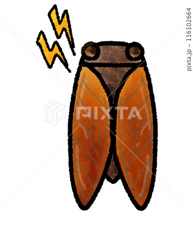 鳴き声がうるさいセミの手描きイラスト 116102664