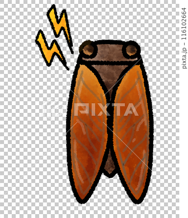 鳴き声がうるさいセミの手描きイラスト 116102664