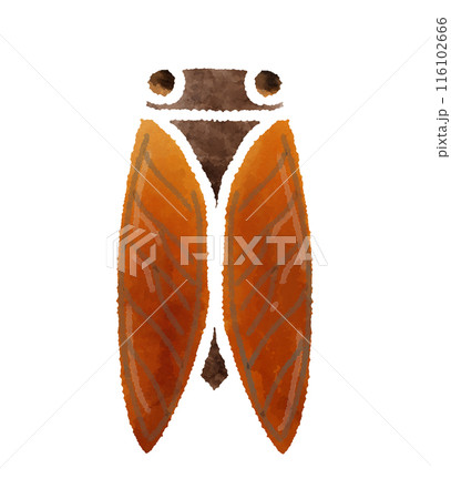 白いアウトラインのセミの手書きイラスト 116102666