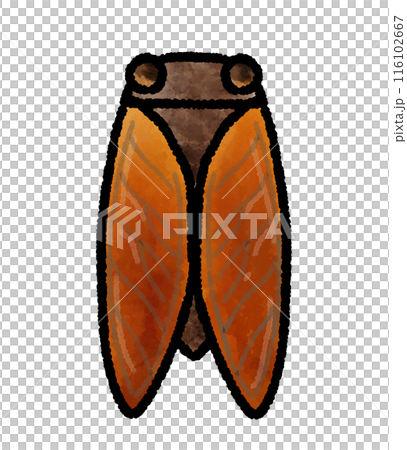 セミの手描きイラスト 116102667