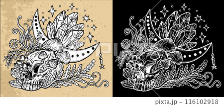 Celestial mystic mushrooms with magic and floral decorative design elements, skull and crystals, witchcraft symbols. Esoteric and witchy objects, tattoo concept, hand drawn clipart Celestial mystic mushrooms with magic and floral decorative design elements, skull and crystals, witchcraft symbols. Esoteric and witchy objects, tattoo concept, hand drawn clipart 116102918