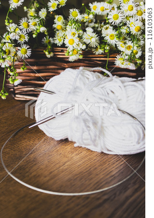 Yarn balls and basket of white daises on wooden table. Knitting hobby. Wool yarn and knitting needles with flowers. Cozy interior. Needlework concept. White thread with chamomile.  116103063