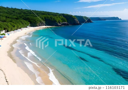 日本の海岸線を巡る夏の観光地 116103171