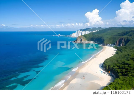 青空の下で楽しむ南国の海 116103172